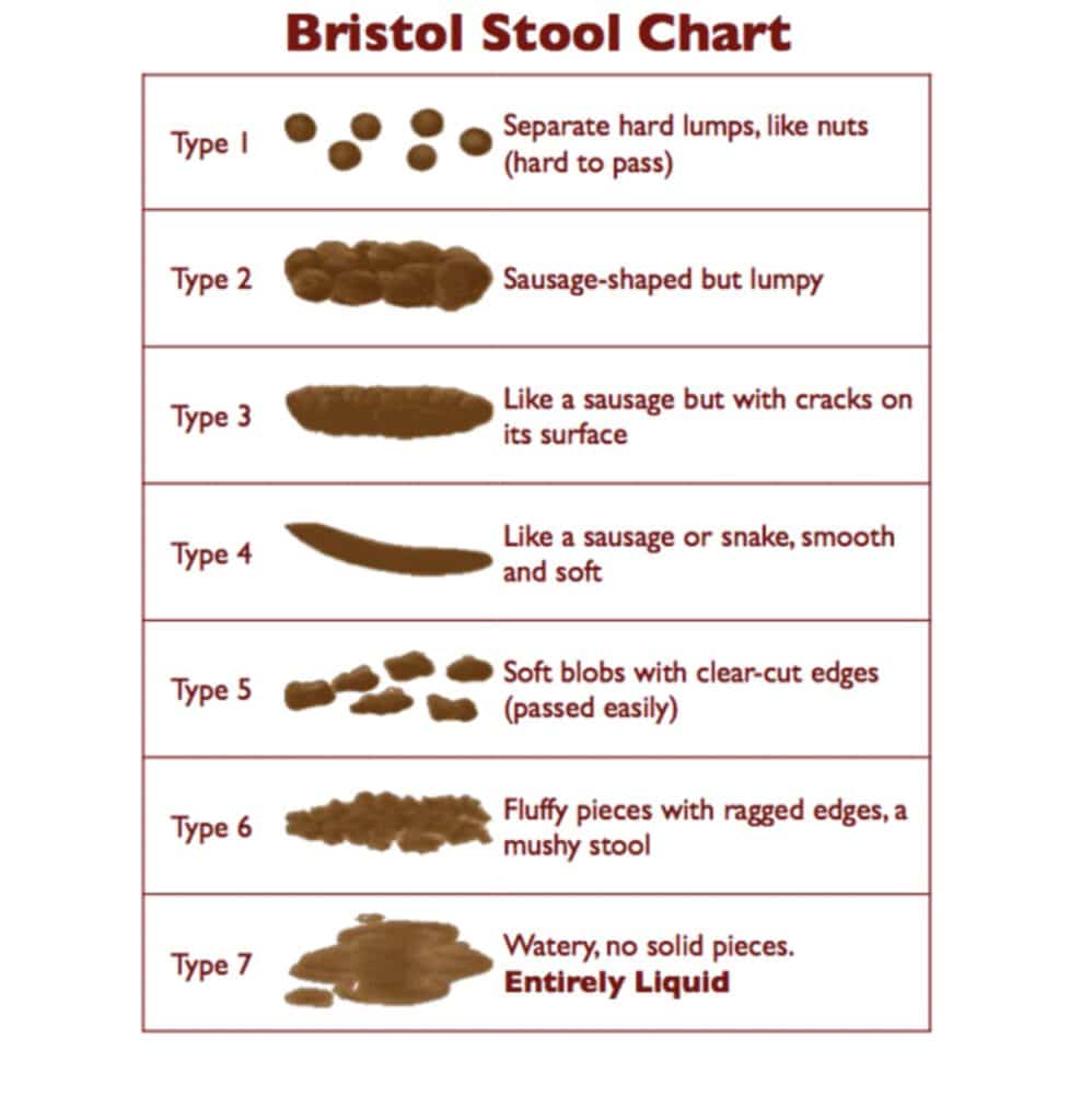 bristol_stool_chart