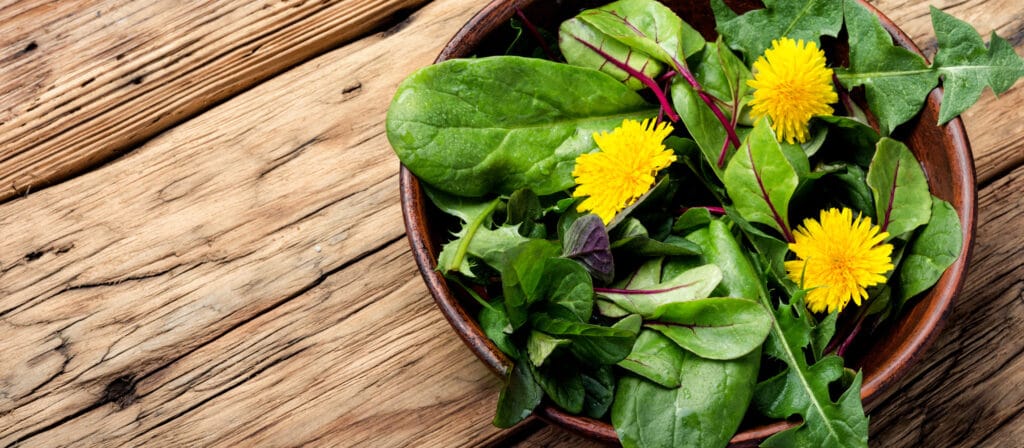 green-herbs-mix-salad